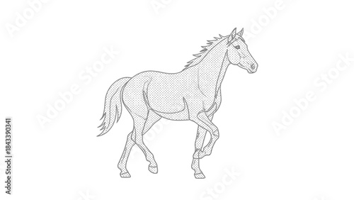 Elegant horse illustration a detailed line drawing of a stallion in motion perfect for equestrian th