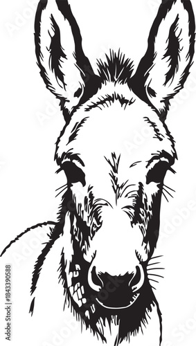 Front view vector of a donkey head showing its ears, face, and mane in black and white