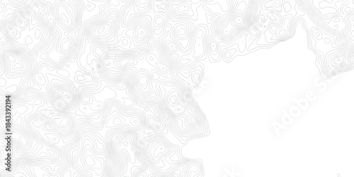 Abstract pattern with lines seamless pattern and topography map and counter map. abstract sea map area space geometric line technology topo landscape grid map texture.