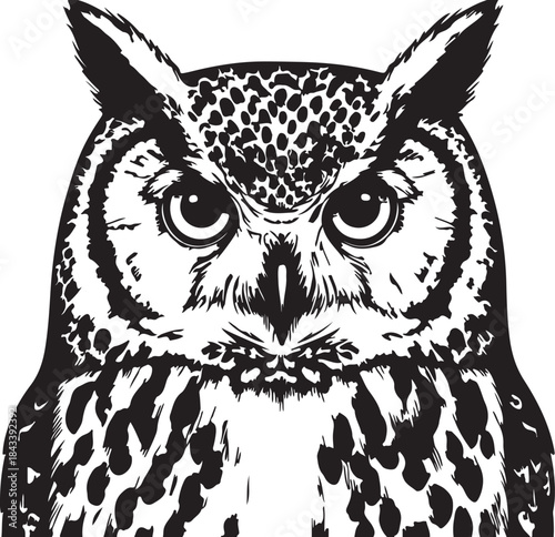 Intense great horned owl stare detailed black and white illustration transparent background
