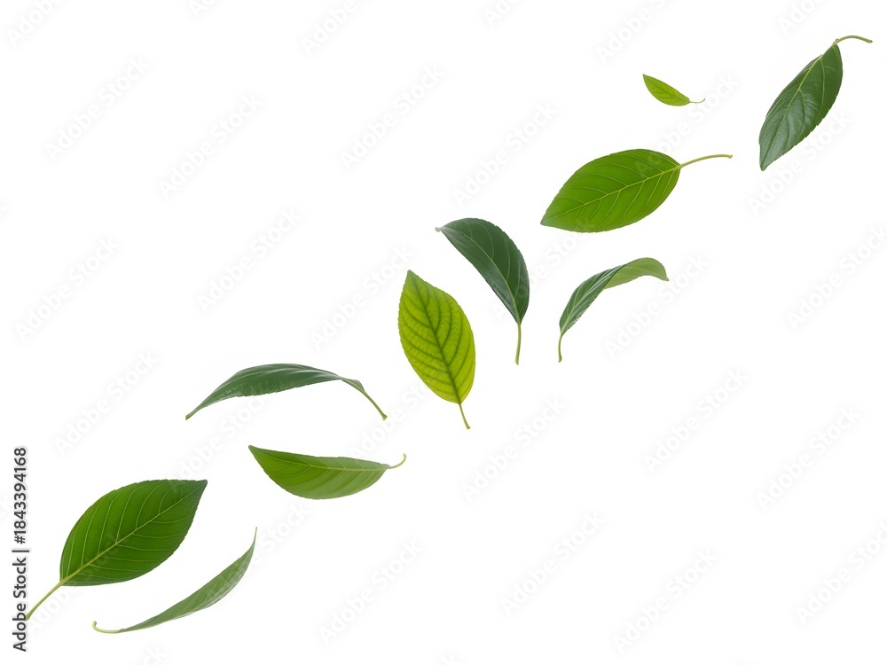 Fototapeta premium Vibrant green leaves floating and scattering in a diagonal pattern on a clean white background