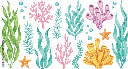 A Colorful Vector Collection of Underwater Marine Life, Featuring Seaweed, Corals in Pink, Yellow, and Purple, Bubbles, and Starfish, Perfect for Ocean and Aquarium Designs.