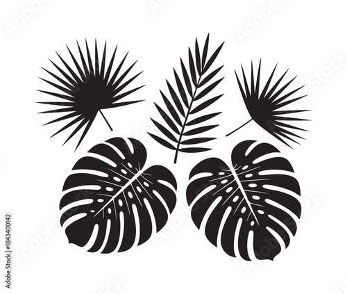 Set of five different tropical leaves black silhouettes including palm and two large perforated monstera leaves on white background
