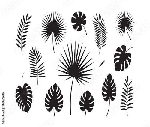 Large collection of fifteen various tropical leaves black silhouettes including palm and monstera isolated on white background art