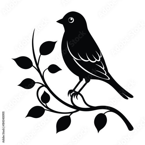 eastern bluebird silhouette beautiful vector