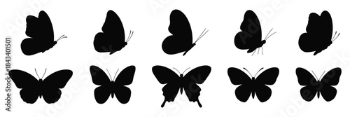Flying butterflies black silhouette set isolated on white background, detailed vector art collection symbolizing beauty, movement,