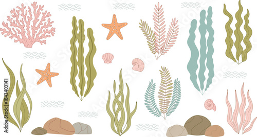 A Muted Vector Collection of Underwater Marine Flora, Featuring Seaweed, Corals, Starfish, Shells, and Rocks in Earthy and Pale Green Tones for Ocean and Aquatic Designs.