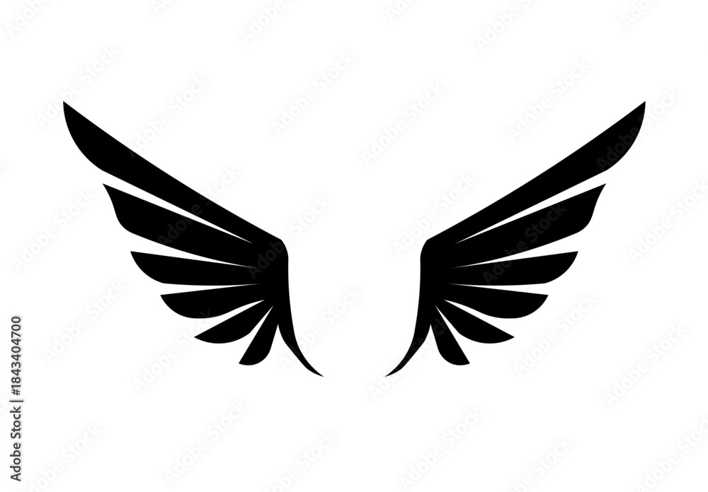 Obraz premium dove with wings