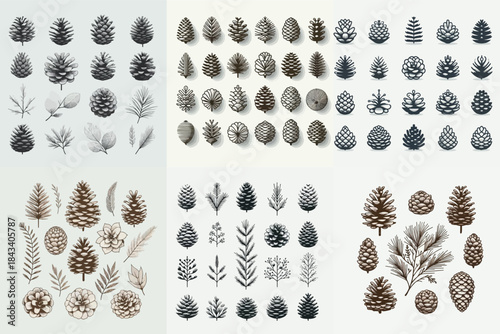 Set of pinecones. Vector, minimalist, illustration, icon set.