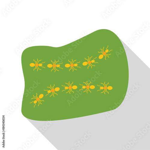 Ants forming two orderly lines on a green surface representing teamwork and colony life