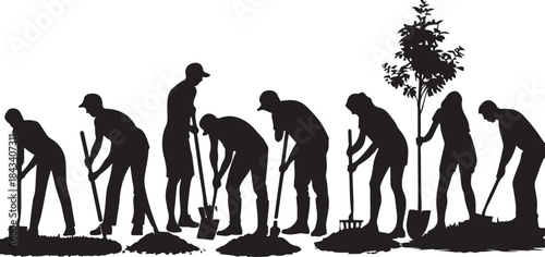 Silhouettes of people gardening and planting a tree with shovels and rakes on a white background vector