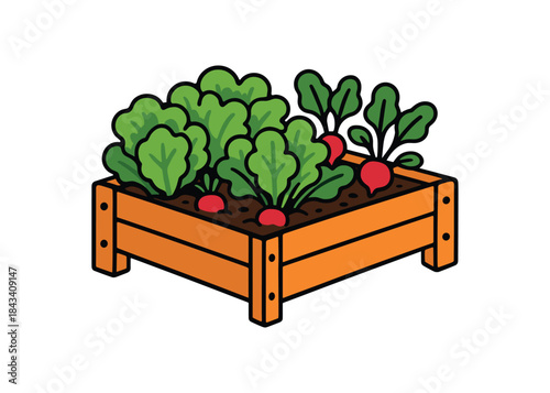 Flat vector illustration of bright raised planter box filled with lettuce and radishes vivid leaves rounded shapes clean outline clean white background