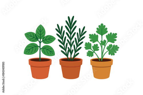 Flat vector illustration of colorful herb trio pots (mint rosemary parsley) with vivid leaf shapes rounded forms clean outline clean white background