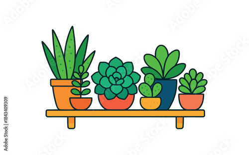Flat vector illustration of bright succulent collection on sunny shelf with bold shapes rounded forms clean outline clean white background