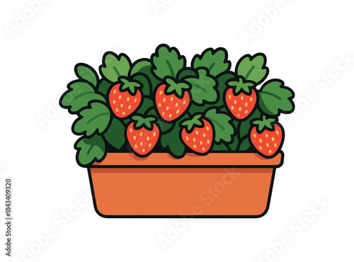 Flat vector illustration of colorful strawberry planter with ripe berries peeking from leaves rounded shapes clean outline clean white background