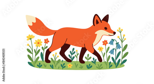 Flat vector illustration of bright red fox walking through spring wildflower meadow rounded shapes clean outline clean white background