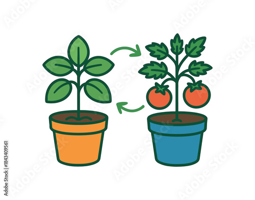 Flat vector illustration of colorful companion planting pots (basil next to tomato) with subtle leaf arrows rounded shapes clean outline clean white background
