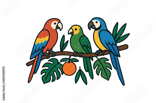 Flat vector illustration of colorful parrots sitting on tropical branch with fruit rounded shapes clean outline clean white background