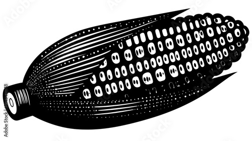 Vintage Engraving of an Ear of Corn on the Cob. Classic Black and White Woodcut Illustration of Maize for Agricultural and Food Concepts.