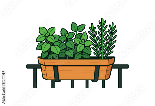 Flat vector illustration of bright wooden planter box on balcony railing filled with basil mint and rosemary vivid leaves rounded shapes clean outline clean white background