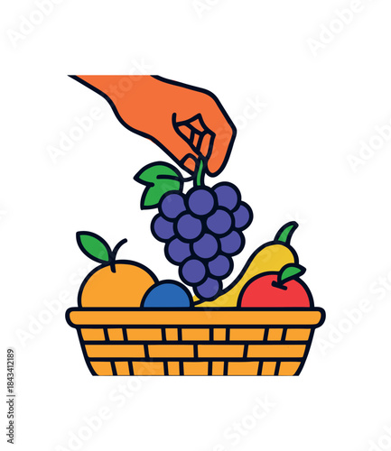 Flat vector illustration of colorful hand taking grape bunch from basket vivid closeup rounded shapes clean outline clean white background