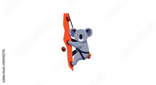 Koala rock climbs, using harness