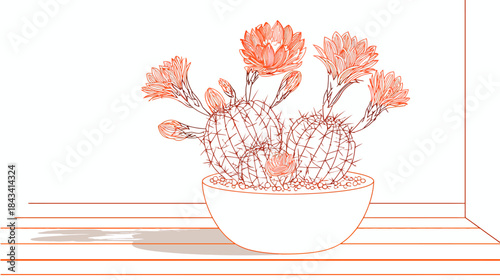 Elegant line art illustration of a potted cactus blooming with vibrant orange flowers, botanical desert plant drawing