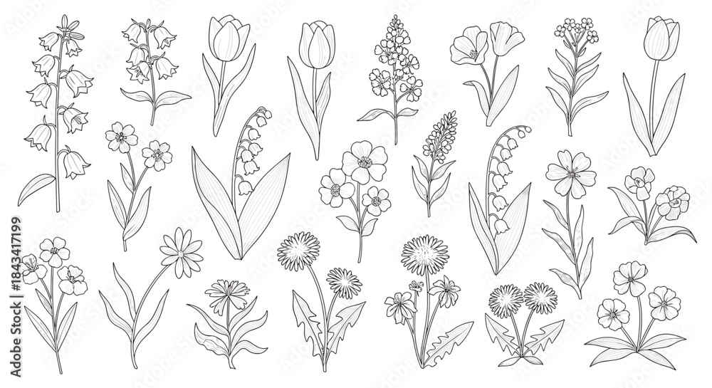 Fototapeta premium A large botanical set of various hand-drawn wildflowers and garden flowers in a detailed black and white dotwork line art style.