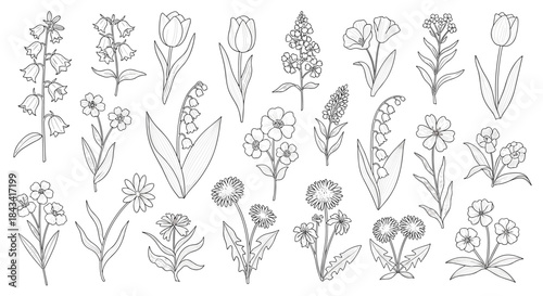 A large botanical set of various hand-drawn wildflowers and garden flowers in a detailed black and white dotwork line art style.