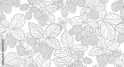 A detailed black and white seamless pattern of hand-drawn raspberry or blackberry branches with berries and leaves for backgrounds.