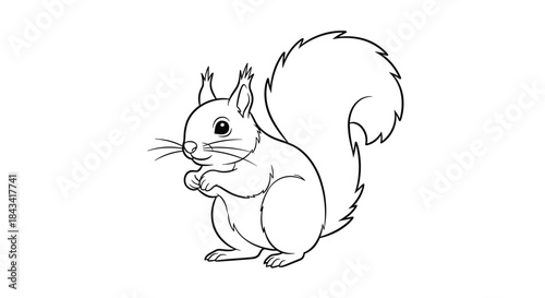 A simple and cute line art illustration of a squirrel standing on its hind legs, perfect for a children's coloring book page.