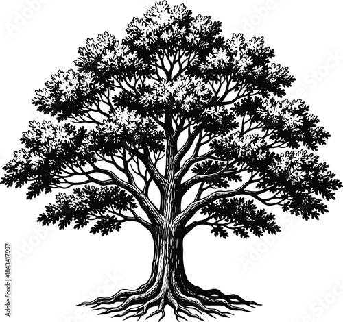 Engraving Style Tree of Life