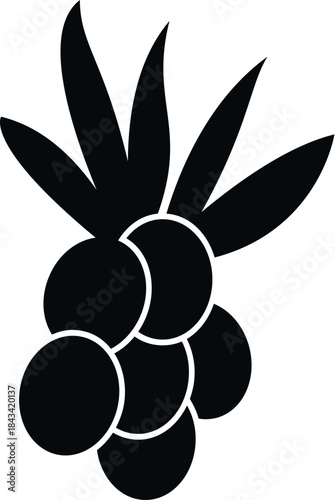 Sea buckthorn berries and leaves black and white simple icon vector