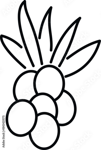 Sea buckthorn berries and leaves forming a simple line art icon