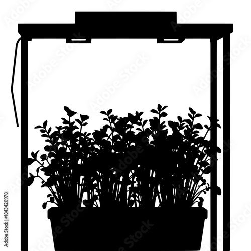 Arugula Growing in Vertical Farm Silhouette Icon