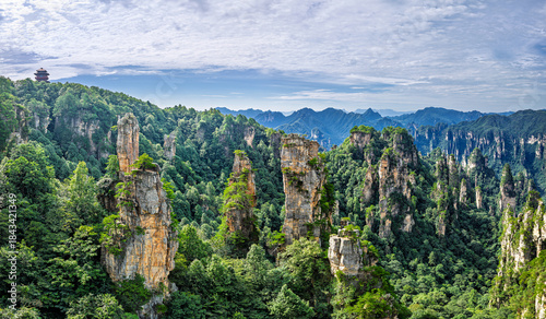 Tableau sur toile Scenic view of quartz sandstone pillars and peaks in lush green forest in Zhangjiajie