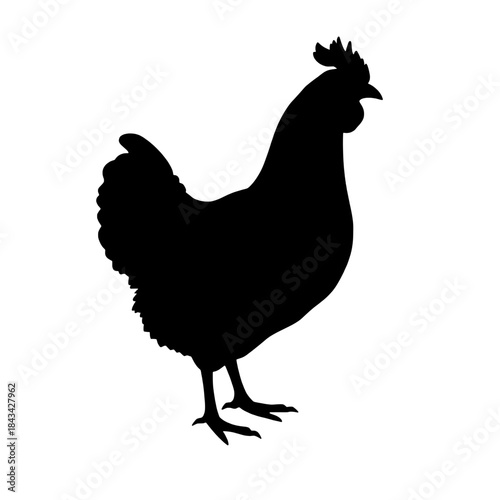 Chicken Silhouette for Sustainable Farm Concept