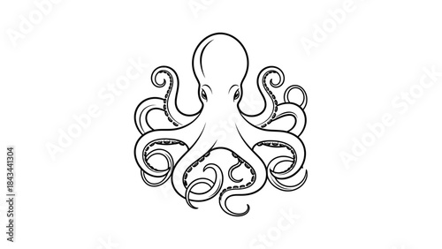 vector illustration of a octopus