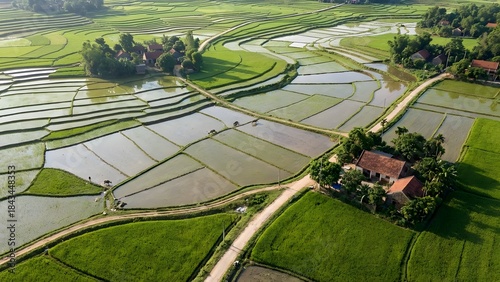Aerial View of Rice Paddies and Rural Landscape.