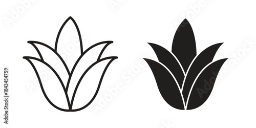 Aloe vera icons. Solid black silhouette and line art outline. Minimal design element,