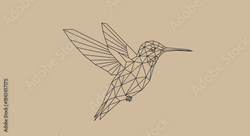 Geometric Hummingbird Line Art: Modern Polygonal Avian Illustration in Black Outline on a Minimalist Beige Background