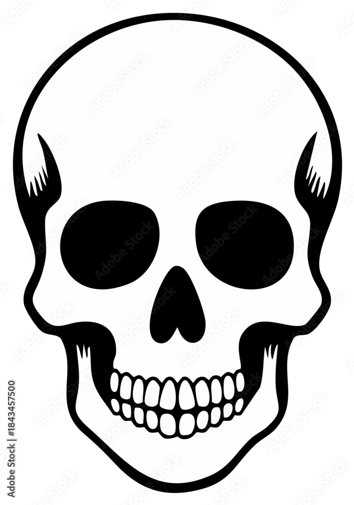 Obraz premium Monochrome Skull Illustration Depicting Bone Structure of Human Cranium