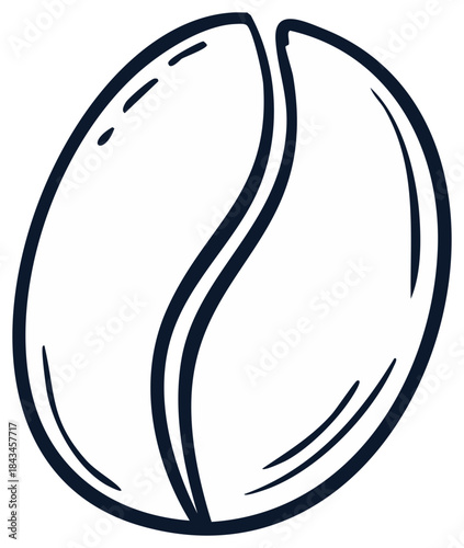 Hand Drawn Coffee Bean Sketch Style Illustration for Coffee Products Design