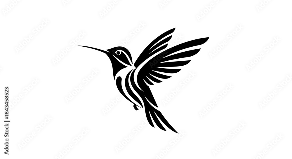Obraz premium Stylized black and white hummingbird in flight, a minimalist graphic illustration with elegant lines.