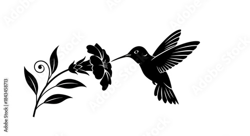 A black silhouette of a hummingbird hovering near a trumpet-shaped flower on a stem with leaves, depicted in a stylized graphic.