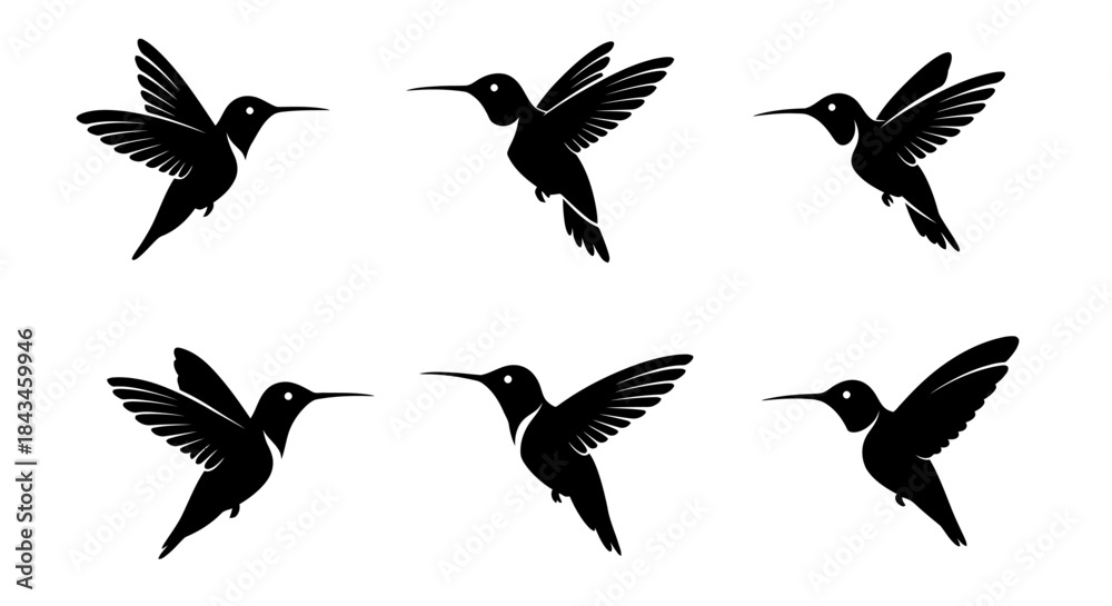 Obraz premium Six black hummingbird silhouettes in different flight poses, isolated on a white background, ideal for graphic design elements.