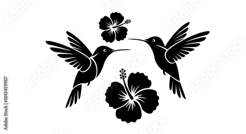 Two black hummingbird silhouettes flying around two hibiscus flowers on a white background, depicting nature and tropical beauty.