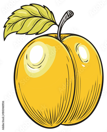 Ripe Golden Plum Illustration with Single Leaf Fresh Food Graphics