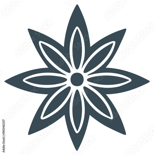 Star anise spice icon in a flat design style vector illustration