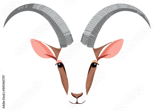 Close-up of a majestic scimitar-horned oryx head with iconic curved horns and gentle eyes.